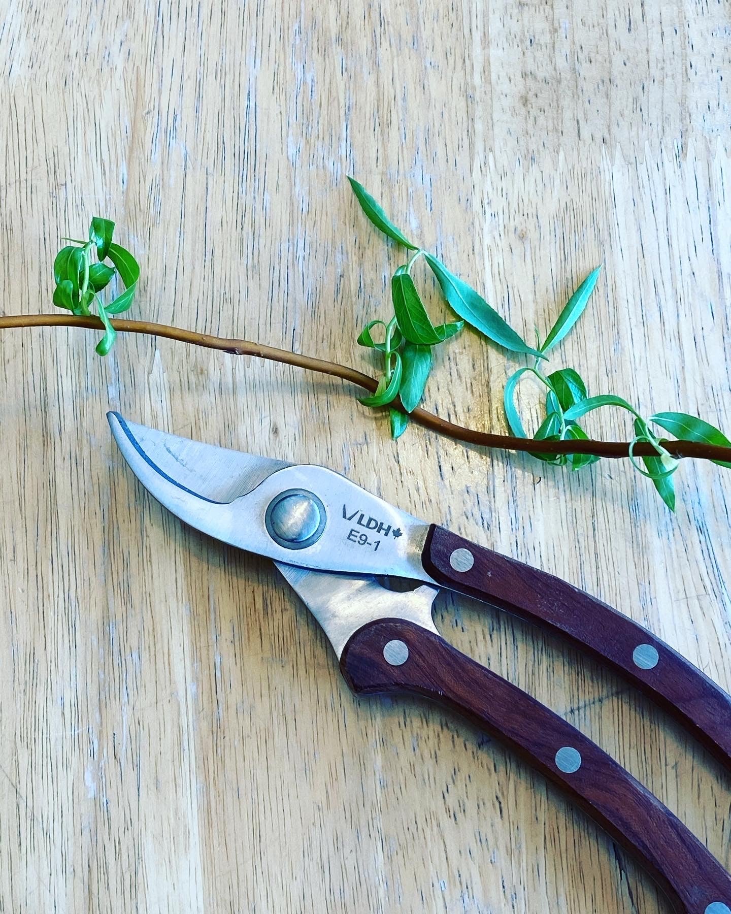 Garden Shears